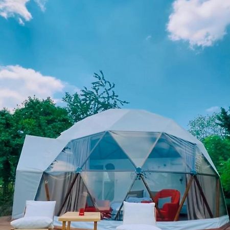 Phalesia Glamping Otel سبانجا المظهر الخارجي الصورة