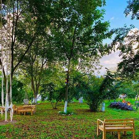 Phalesia Glamping Otel سبانجا المظهر الخارجي الصورة
