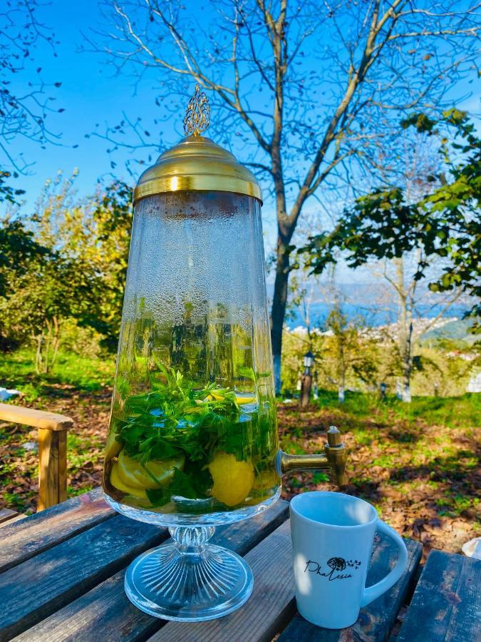 Phalesia Glamping Otel سبانجا المظهر الخارجي الصورة