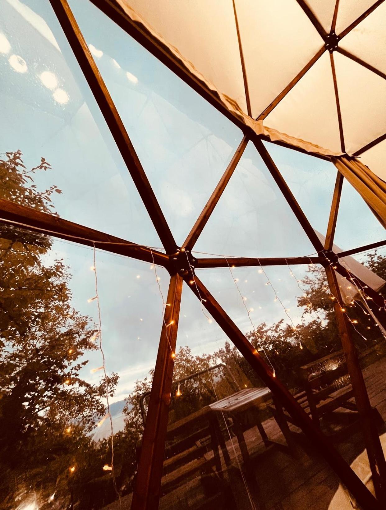 Phalesia Glamping Otel سبانجا المظهر الخارجي الصورة