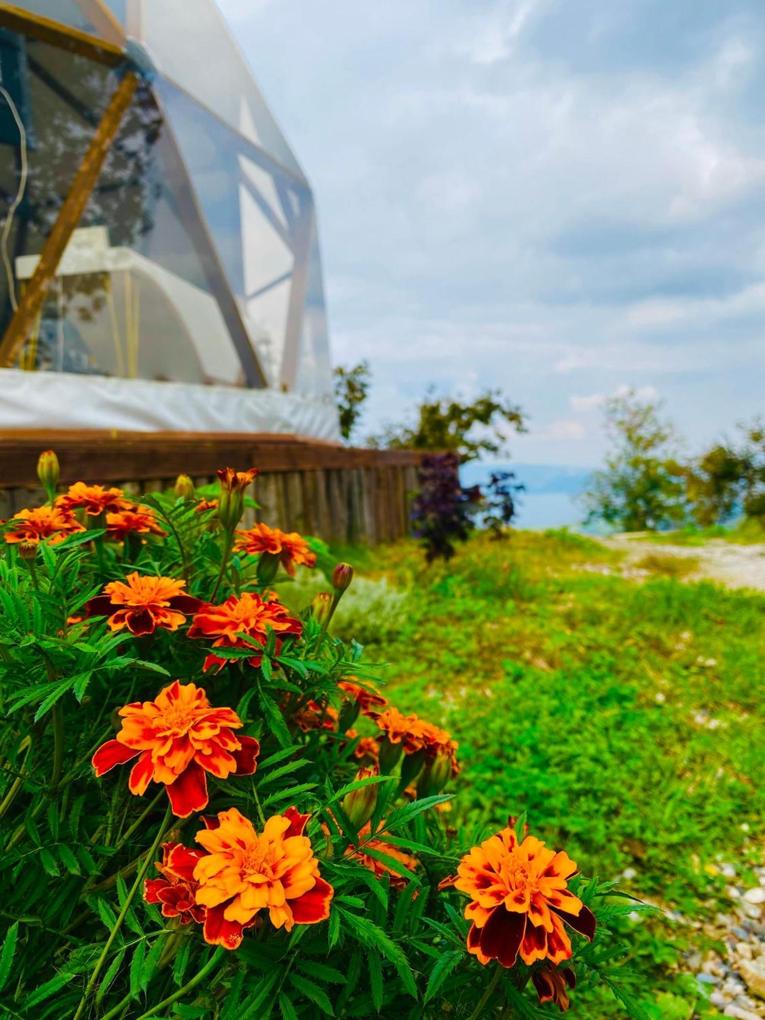 Phalesia Glamping Otel سبانجا المظهر الخارجي الصورة